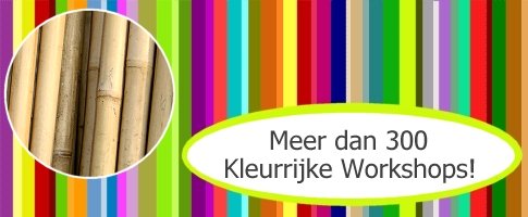 Bamboe bouwen DeWorkshopgids.nl