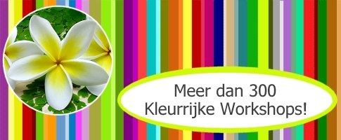 Persoonlijke groei DeWorkshopgids.nl